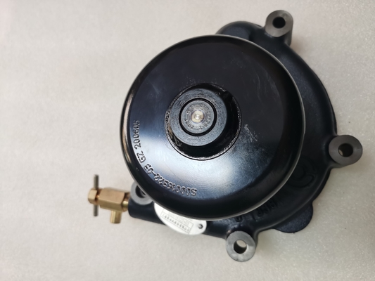 60016107 Pompe à eau Assy D20-000-30 S00016322+03 Pièces de rechange d'origine