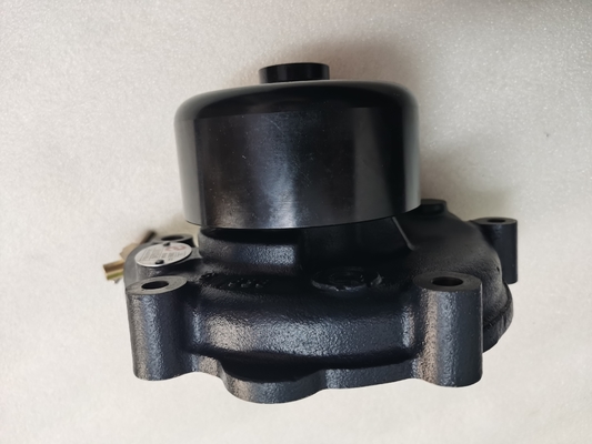 60016107 Pompe à eau Assy D20-000-30 S00016322+03 Pièces de rechange d'origine