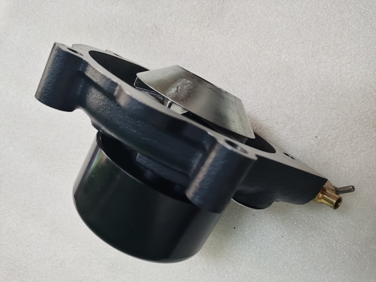 60016107 Pompe à eau Assy D20-000-30 S00016322+03 Pièces de rechange d'origine
