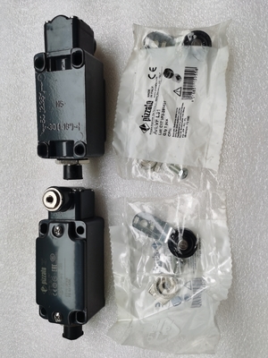 60117974 Pièces de rechange pour grue sur chenilles GY-S-1NO+1NC-75 LimitSwitch
